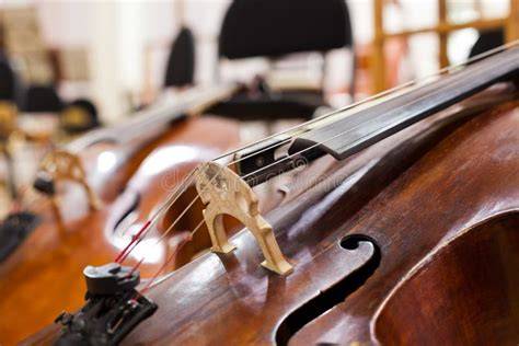 Dettaglio di un violoncello