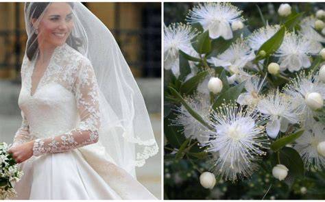 Bouquet nuziale con mirto