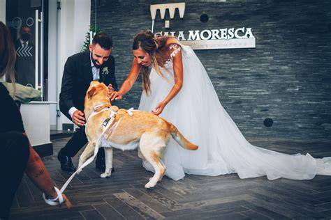 cane felice al matrimonio
