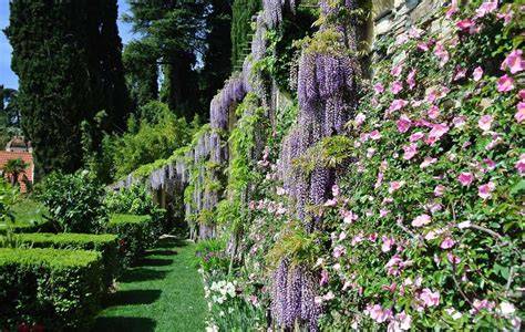 Giardini lussureggianti di Villa Della Torre