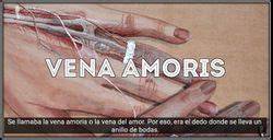La vena amoris