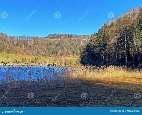 Paesaggio del Québec con lago e foreste