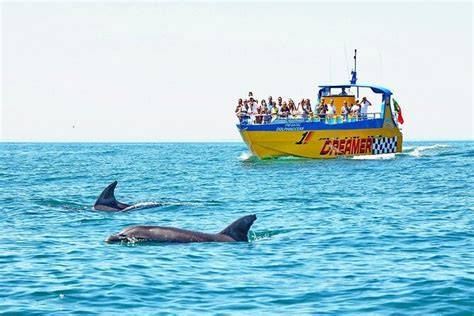Tour in barca per ammirare i delfini in Algarve