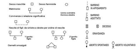 Schema di un genosociogramma