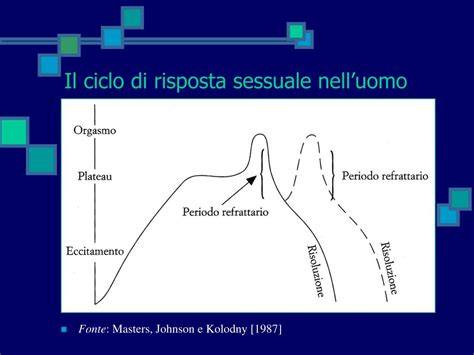 Schema della risposta sessuale maschile