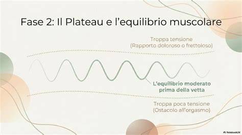 Illustrazione della fase di plateau durante l'eccitazione sessuale
