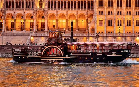 Crociera serale sul Danubio con vista sul Parlamento illuminato