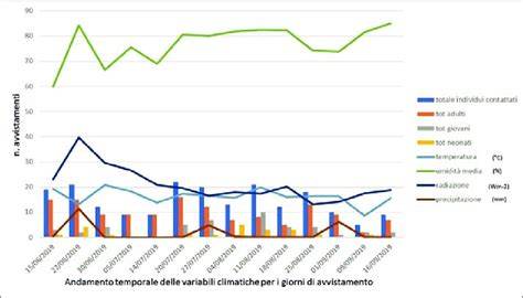 Grafico temporale che mostra i due scenari di prevalenza delle sentenze.