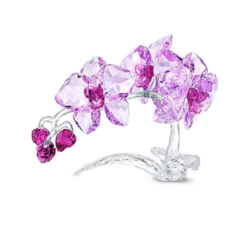 Dettaglio di orchidea in zucchero con cristalli Swarovski