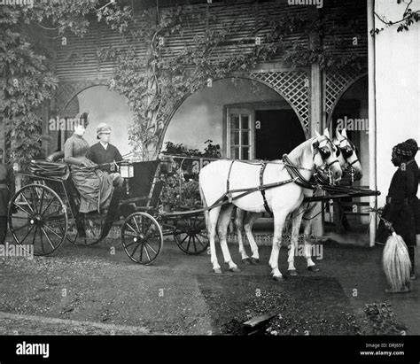 carrozza bianca trainata da cavalli bianchi