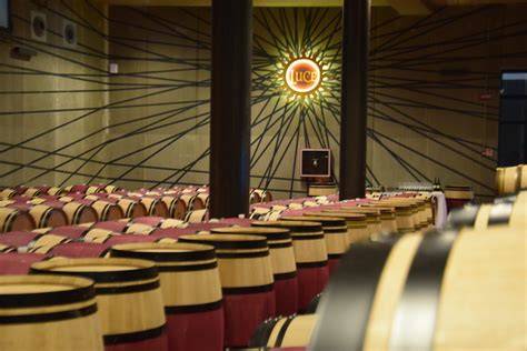 Interno della cantina ipogea con botti