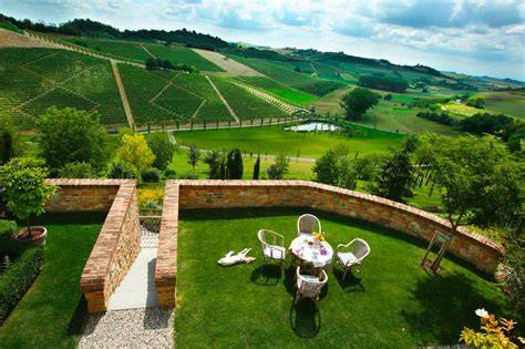 Panorama della Tenuta Senatore immersa nei vigneti