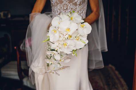 Composizione di un bouquet da sposa a cascata con orchidee rosa e foglie verdi