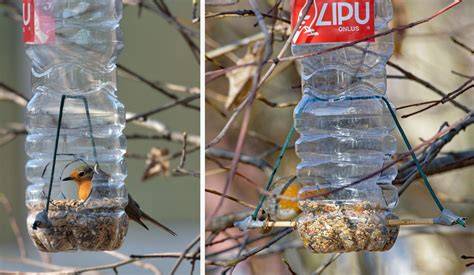 Mangiatoia per uccelli fatta con una bottiglia di plastica