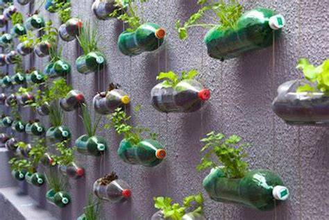 Giardino verticale realizzato con bottiglie di plastica