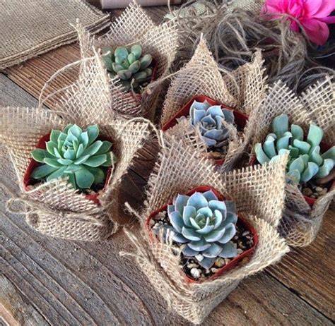 Piante grasse come wedding favors