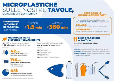 Infografica sui 