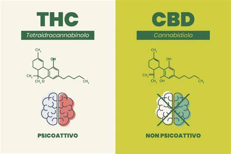 Infografica sulla differenza tra CBD e THC