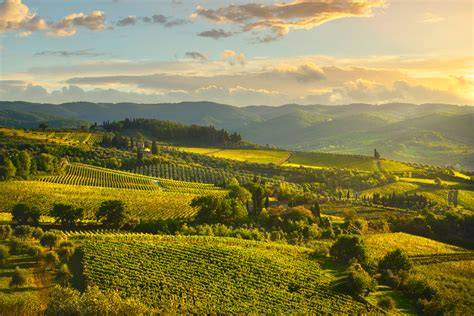 Panorama delle colline del Chianti con un borgo medievale