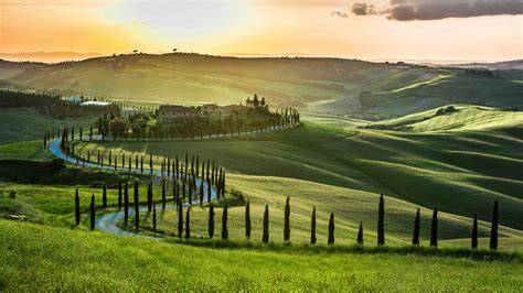 Campagna toscana con cipressi e vigneti