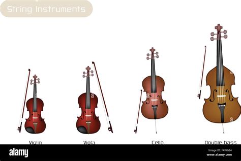 Strumenti ad arco: violoncello, viola, violino