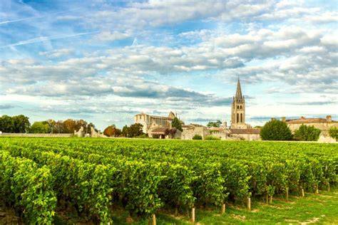 Panorama di vigneti a Bordeaux