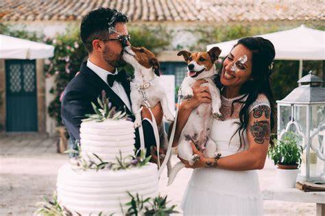 dog sitter al matrimonio