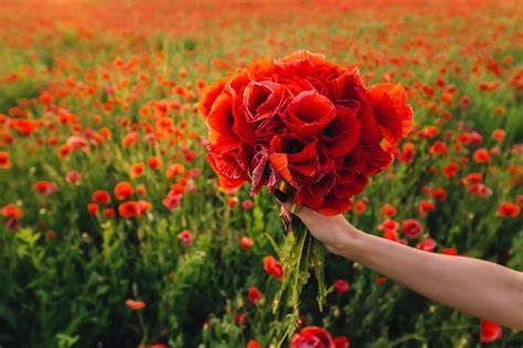 Bouquet autunnale con papaveri rossi