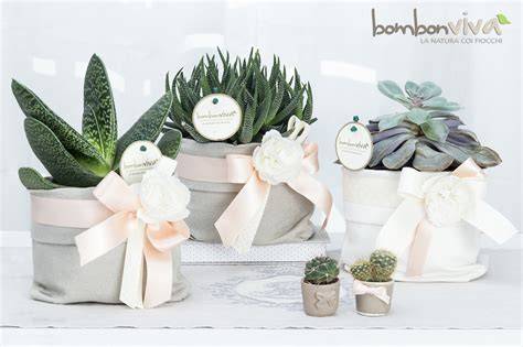 Piante grasse come bomboniere matrimonio green