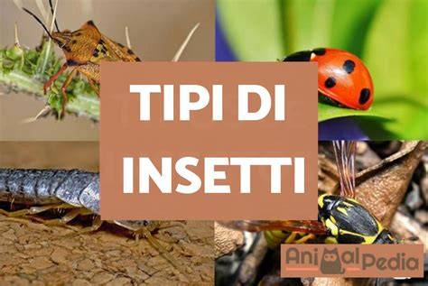 Diverse specie di insetti