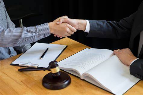 consulenza legale