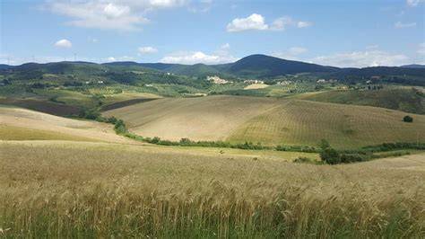 Paesaggio delle Colline Pisane con vigneti