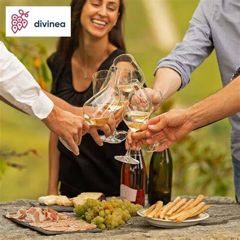 Degustazione di vini in una cantina