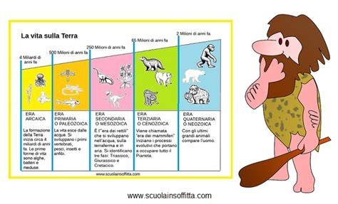Schema storico dell'evoluzione della giarrettiera