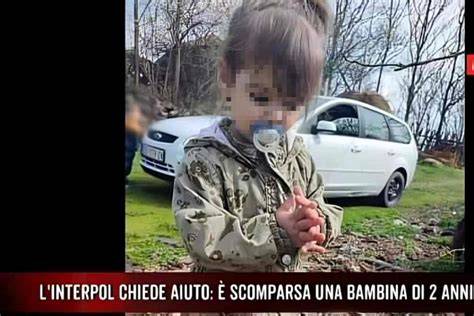 Ricerca di una bambina scomparsa con cani poliziotto