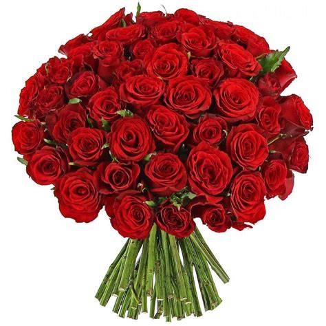 bouquet rose rosse