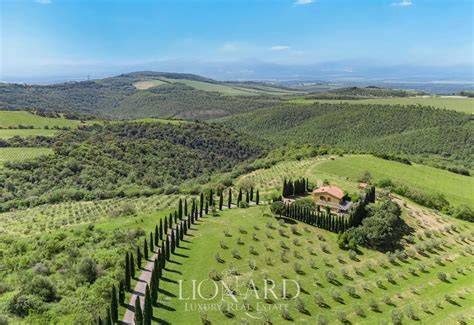 Vista panoramica della campagna toscana con vigneti e uliveti