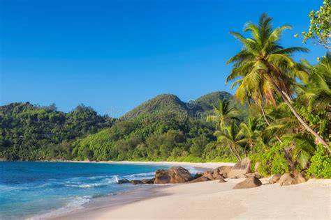 Spiaggia tropicale alle Seychelles con palme e mare cristallino