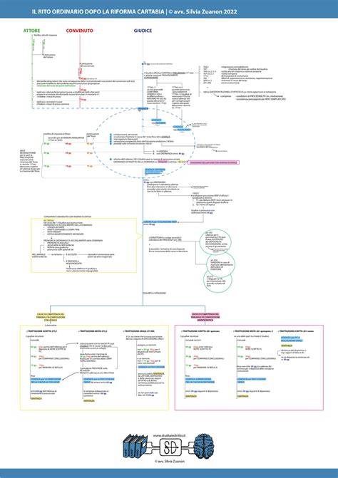 schema riforma processo nullità matrimoniale