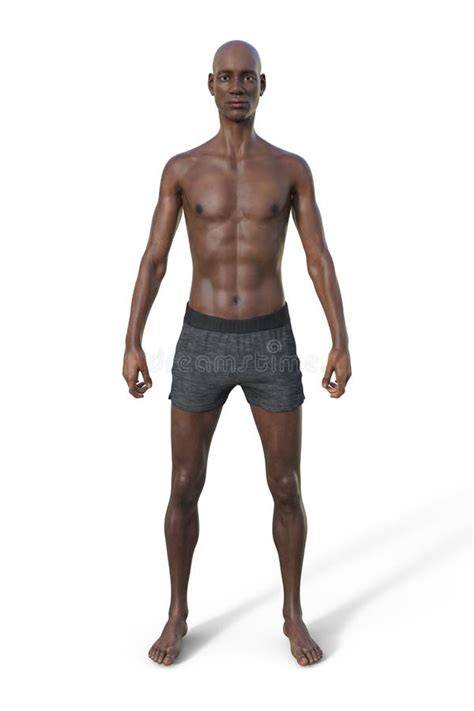 Illustrazione di un tight maschile con dettagli