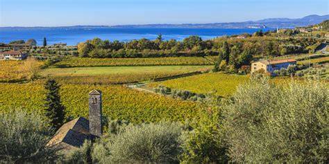 Panorama di Bardolino con vigneti e il Lago di Garda