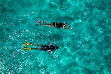 Coppia che fa snorkeling insieme in acque cristalline