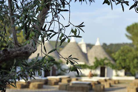 Panorama della Puglia con ulivi secolari e trulli