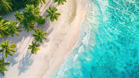 Spiaggia tropicale delle Maldive con palme e mare cristallino