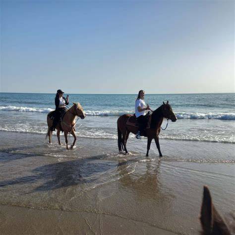 Passeggiata a cavallo sulla spiaggia nelle Marche