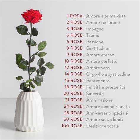 simbolismo numero rose