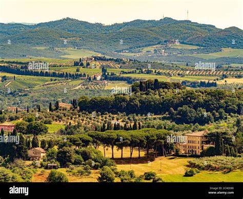 Paesaggio toscano con cipressi e ville