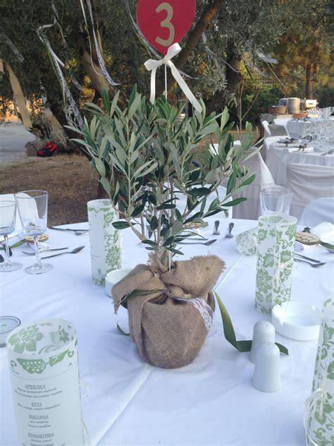 Rami di ulivo come decorazione per matrimoni