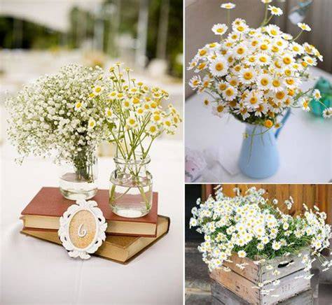 Allestimento matrimonio con margherite