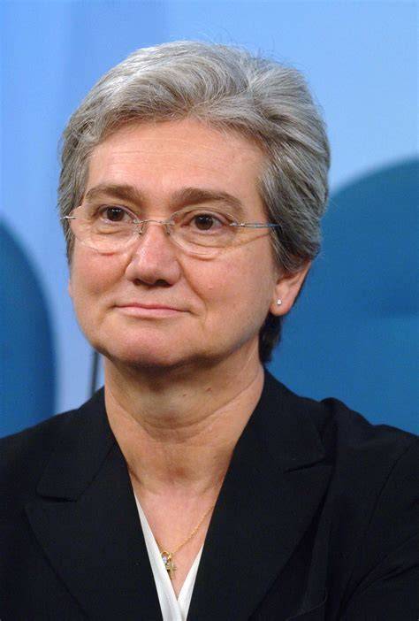 Schema della carriera politica di Rosy Bindi